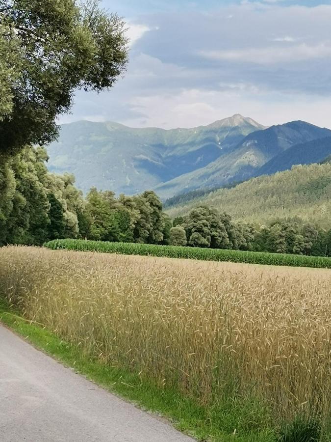 Ferienwohnungen Rosi Kleblach Buitenkant foto
